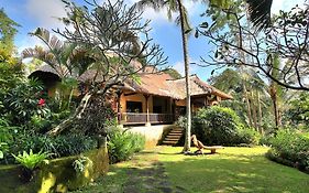 Villa Alamanda